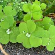 ヒメ日記 2025/10/15 01:30 投稿 涼風はるか 横浜プロダクション