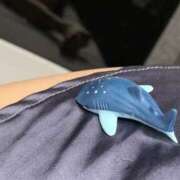 ヒメ日記 2025/10/18 01:49 投稿 涼風はるか 横浜プロダクション