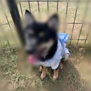 ヒメ日記 2025/10/31 01:30 投稿 涼風はるか 横浜プロダクション