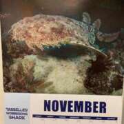 ヒメ日記 2025/11/01 23:39 投稿 涼風はるか 横浜プロダクション