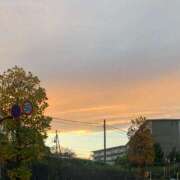 ヒメ日記 2025/11/02 23:53 投稿 涼風はるか 横浜プロダクション