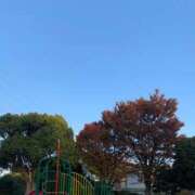 ヒメ日記 2025/11/16 00:00 投稿 涼風はるか 横浜プロダクション