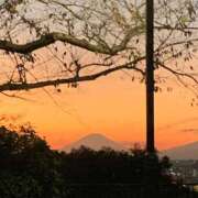 ヒメ日記 2025/11/24 09:56 投稿 涼風はるか 横浜プロダクション