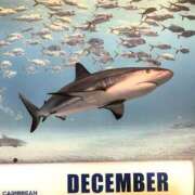 ヒメ日記 2025/12/02 01:30 投稿 涼風はるか 横浜プロダクション