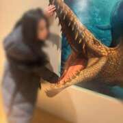 ヒメ日記 2025/12/08 00:09 投稿 涼風はるか 横浜プロダクション