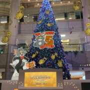 涼風はるか やっと見られた〜 横浜プロダクション