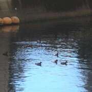 ヒメ日記 2025/12/27 02:00 投稿 涼風はるか 横浜プロダクション