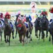 ヒメ日記 2025/12/28 22:35 投稿 涼風はるか 横浜プロダクション