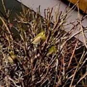 ヒメ日記 2026/01/08 02:00 投稿 涼風はるか 横浜プロダクション