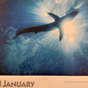 ヒメ日記 2026/01/10 02:15 投稿 涼風はるか 横浜プロダクション