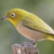 ヒメ日記 2026/02/07 01:45 投稿 涼風はるか 横浜プロダクション