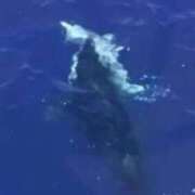 ヒメ日記 2026/02/19 01:45 投稿 涼風はるか 横浜プロダクション