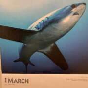 ヒメ日記 2026/03/01 23:43 投稿 涼風はるか 横浜プロダクション