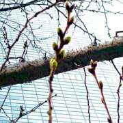 ヒメ日記 2026/03/11 02:00 投稿 涼風はるか 横浜プロダクション