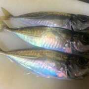 ヒメ日記 2026/03/16 22:51 投稿 涼風はるか 横浜プロダクション