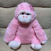 ヒメ日記 2026/03/23 01:11 投稿 涼風はるか 横浜プロダクション