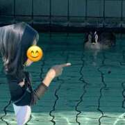 ヒメ日記 2026/03/30 21:14 投稿 涼風はるか 横浜プロダクション