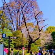 ヒメ日記 2026/04/01 01:30 投稿 涼風はるか 横浜プロダクション