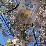 ヒメ日記 2026/04/05 00:16 投稿 涼風はるか 横浜プロダクション