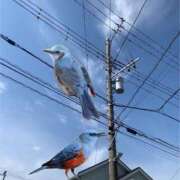ヒメ日記 2026/04/26 00:11 投稿 涼風はるか 横浜プロダクション