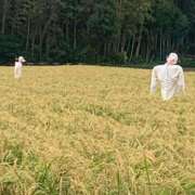ヒメ日記 2026/08/29 09:59 投稿 涼風はるか 横浜プロダクション