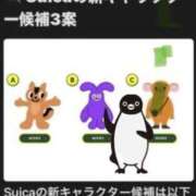 ヒメ日記 2026/09/17 02:30 投稿 涼風はるか 横浜プロダクション