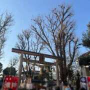 ヒメ日記 2025/01/23 17:29 投稿 木塚ねい 横浜プロダクション