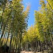 ヒメ日記 2025/03/24 10:45 投稿 木塚ねい 横浜プロダクション