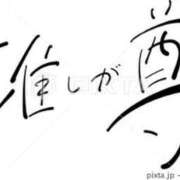 ヒメ日記 2023/12/01 17:00 投稿 小野寺ゆうき 横浜プロダクション