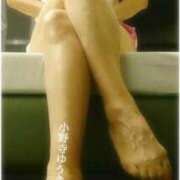 ヒメ日記 2024/12/16 17:31 投稿 小野寺ゆうき 横浜プロダクション