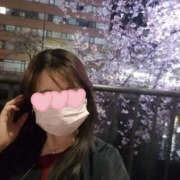 ヒメ日記 2025/04/12 08:00 投稿 宇佐美れい 横浜プロダクション