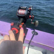 ヒメ日記 2025/07/01 12:25 投稿 青木萌 横浜プロダクション