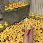 ヒメ日記 2025/07/04 01:03 投稿 青木萌 横浜プロダクション