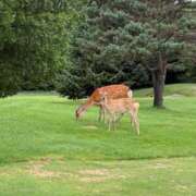 ヒメ日記 2025/08/30 22:04 投稿 青木萌 横浜プロダクション