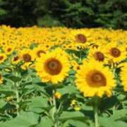 ヒメ日記 2026/08/20 15:02 投稿 青木萌 横浜プロダクション