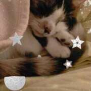 ヒメ日記 2024/12/29 11:46 投稿 ゆう 華椿（YESグループヨコハマ）