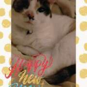 ヒメ日記 2025/01/01 08:36 投稿 ゆう 華椿（YESグループヨコハマ）