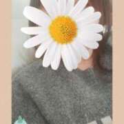 ヒメ日記 2025/01/15 08:48 投稿 ゆう 華椿（YESグループヨコハマ）