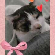 ヒメ日記 2025/02/02 12:21 投稿 ゆう 華椿（YESグループヨコハマ）