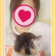 ヒメ日記 2025/02/07 09:12 投稿 ゆう 華椿（YESグループヨコハマ）