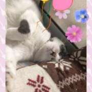 ヒメ日記 2025/02/22 11:56 投稿 ゆう 華椿（YESグループヨコハマ）