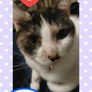 ヒメ日記 2025/02/25 17:37 投稿 ゆう 華椿（YESグループヨコハマ）