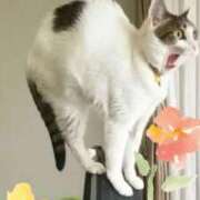 ヒメ日記 2025/02/28 14:48 投稿 ゆう 華椿（YESグループヨコハマ）