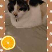 ヒメ日記 2025/03/09 09:12 投稿 ゆう 華椿（YESグループヨコハマ）