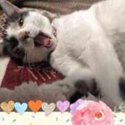 ヒメ日記 2025/03/10 10:27 投稿 ゆう 華椿（YESグループヨコハマ）