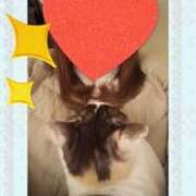 ヒメ日記 2025/03/11 12:46 投稿 ゆう 華椿（YESグループヨコハマ）