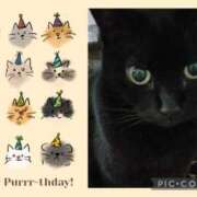 ヒメ日記 2025/03/14 10:58 投稿 ゆう 華椿（YESグループヨコハマ）