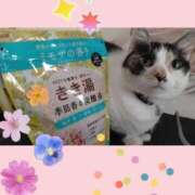 ヒメ日記 2025/03/15 11:11 投稿 ゆう 華椿（YESグループヨコハマ）