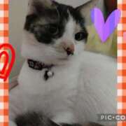 ヒメ日記 2025/03/18 08:33 投稿 ゆう 華椿（YESグループヨコハマ）