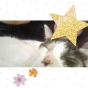 ヒメ日記 2025/03/28 16:38 投稿 ゆう 華椿（YESグループヨコハマ）